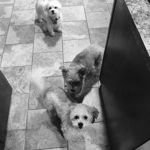 Meet your Posher, Kathy